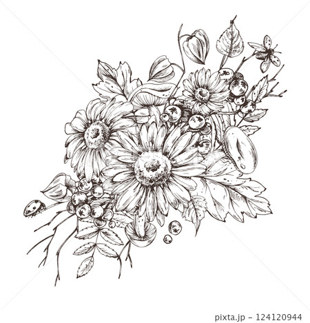 Autumn berries physalis, chokeberry, rowan leaves, maple, birch, russula mushrooms, rudbeckia flowers, tree branches. Graphic line art hand drawn with black ink. Arrangement, sublimation, composition Autumn berries physalis, chokeberry, rowan leaves, maple, birch, russula mushrooms, rudbeckia flowers, tree branches. Graphic line art hand drawn with black ink. Arrangement, sublimation, composition 124120944