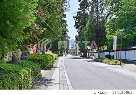 中山道安中宿散歩:安中杉並木 安中市原市 中山道安中宿散歩:安中杉並木 安中市原市 124120962