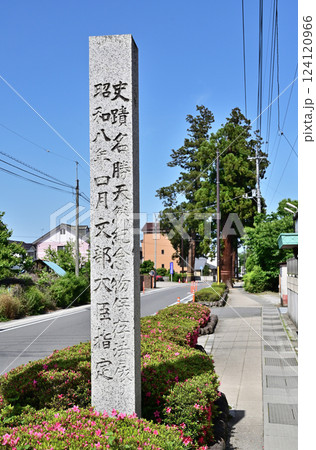 中山道安中宿散歩：安中杉並木　安中市原市 124120966