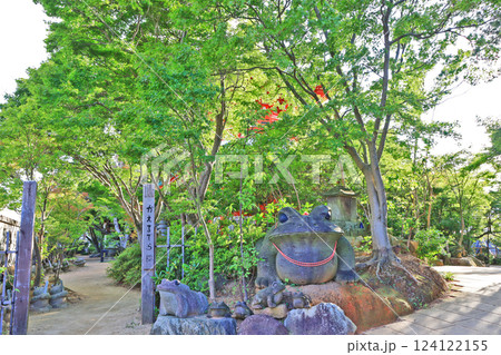 福岡県小郡市のかえる寺如意輪寺の境内 福岡県小郡市のかえる寺如意輪寺の境内 124122155