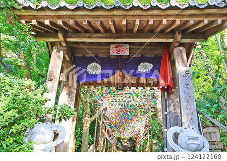 福岡県小郡市のかえる寺如意輪寺山門と風鈴トンネル 福岡県小郡市のかえる寺如意輪寺山門と風鈴トンネル 124122160