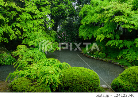 京都　随心院の庭園 124122346
