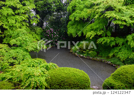 京都　随心院の庭園 124122347