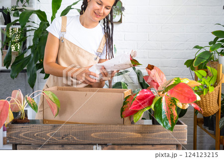 Woman unpacks a box with a parcel of potted flowers of red aglaonem - order wrapped tropical plants, delivery. Sale, safe shipment of plants from the store, packaging. Flower shop, home business 124123215