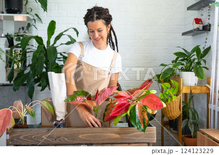 Woman unpacks a box with a parcel of potted flowers of red aglaonem - order wrapped tropical plants, delivery. Sale, safe shipment of plants from the store, packaging. Flower shop, home business 124123229