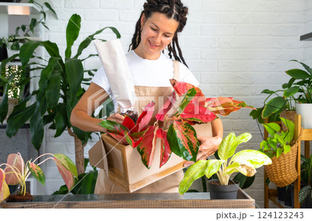 Woman unpacks a box with a parcel of potted flowers of red aglaonem - order wrapped tropical plants, delivery. Sale, safe shipment of plants from the store, packaging. Flower shop, home business 124123243