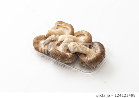 白背景に生椎茸 白背景に生椎茸 124123499