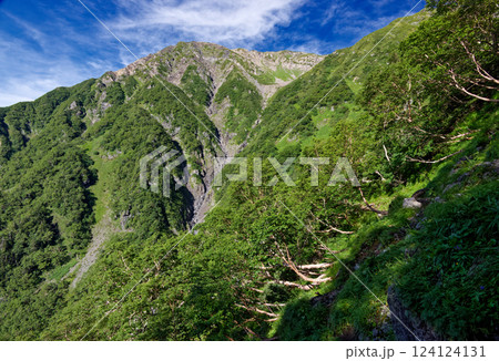 赤石小屋への下りから見る赤石岳山頂 124124131