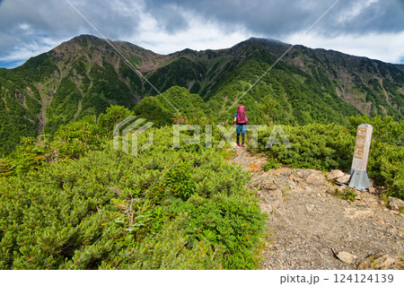 南アルプス・赤石岳と富士見平を行く登山者 124124139