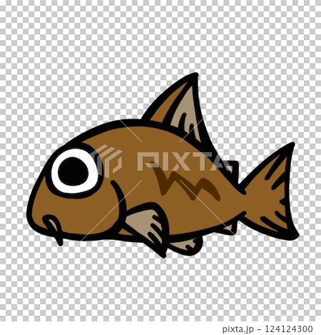 Simple illustration of tropical fish Corydoras 124124300