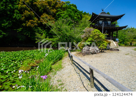 勧修寺の氷室池 勧修寺の氷室池 124124474