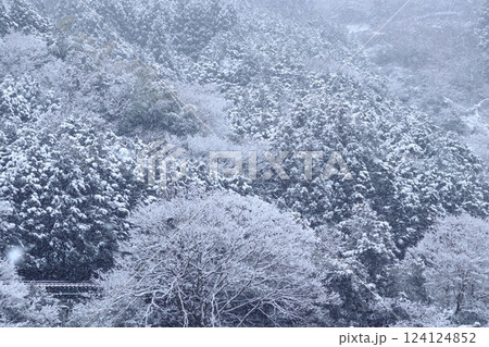 穴内川沿いの土讃線　銀世界　（高知県　大豊町日浦） 124124852
