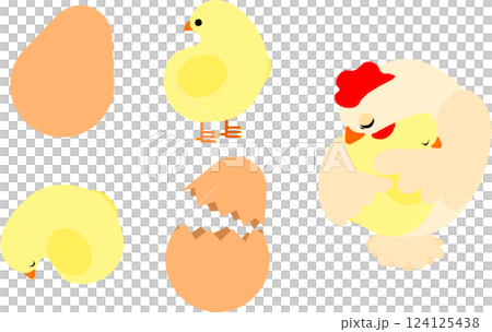 一組小雞和雞的插圖 一組小雞和雞的插圖 124125438