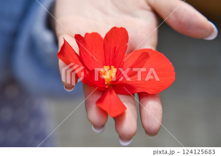 優しく手のひらに咲く花 124125683