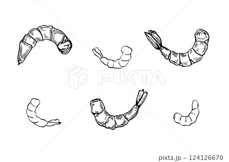 Peeled boiled prawn set line art black ink sketch. Cooked unshelled tiger shrimps clipart in realistic linear style. Seafood cooking ingredient vector isolated illustration for menu, recipe design. 124126670