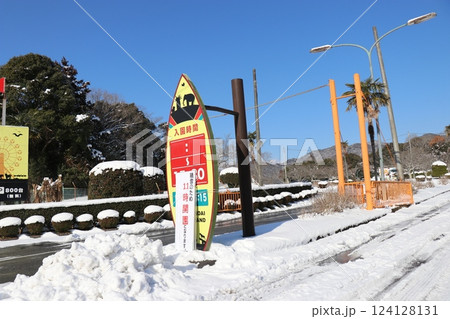雪が積もる秋吉台自然動物公園、サファリランド、山口県、寒波 124128131
