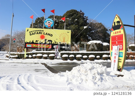 雪が積もる秋吉台自然動物公園、サファリランド、山口県、寒波 124128136