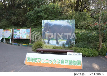 宮崎市フェニックス自然動物園、宮崎県 宮崎市フェニックス自然動物園、宮崎県 124128897