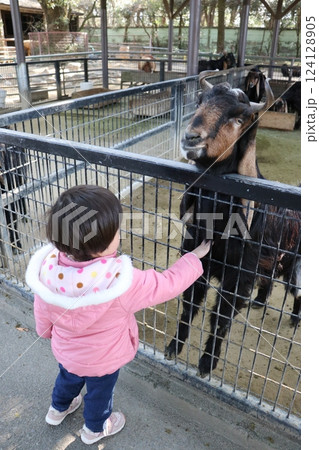 宮崎市フェニックス自然動物園、宮崎県 124128905