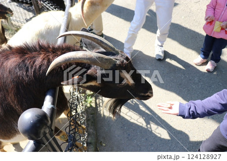 宮崎市フェニックス自然動物園、宮崎県 124128927