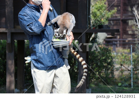 宮崎市フェニックス自然動物園、宮崎県 124128931