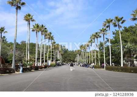 宮崎市フェニックス自然動物園、宮崎県 宮崎市フェニックス自然動物園、宮崎県 124128936