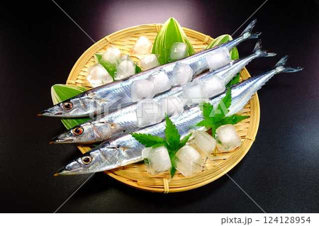 サンマ　秋刀魚　さんま 124128954