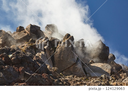 Steam activity in New Zealand 124129063