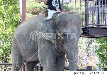 宮崎市フェニックス自然動物園、宮崎県 宮崎市フェニックス自然動物園、宮崎県 124129184