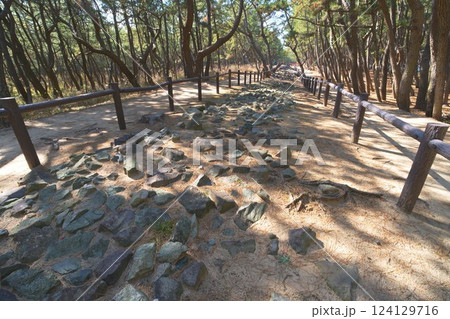 元寇防塁(今津地区)(生の松原地区)鎌倉時代の遺跡 元寇防塁(今津地区)(生の松原地区)鎌倉時代の遺跡 124129716
