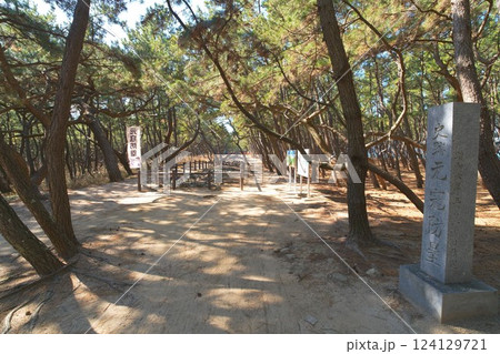 元寇防塁(今津地区)(生の松原地区)鎌倉時代の遺跡 元寇防塁(今津地区)(生の松原地区)鎌倉時代の遺跡 124129721