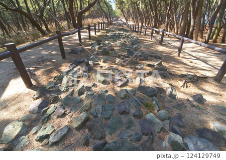 元寇防塁(今津地区)（生の松原地区）鎌倉時代の遺跡 124129749