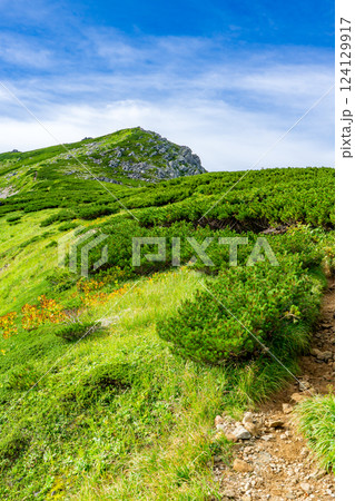 双六岳の山頂　北アルプス双六岳三俣蓮華岳登山 124129917