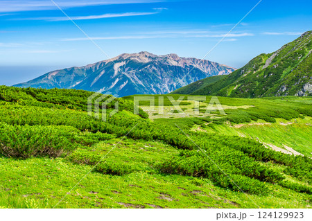 双六岳から見る薬師岳　北アルプス双六岳三俣蓮華岳登山 124129923