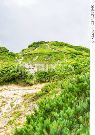 弓折岳の山頂 弓折岳の山頂 124129940