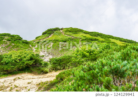 弓折岳の山頂 弓折岳の山頂 124129941