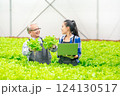 senior Asian man and woman in hydroponics farm 124130517