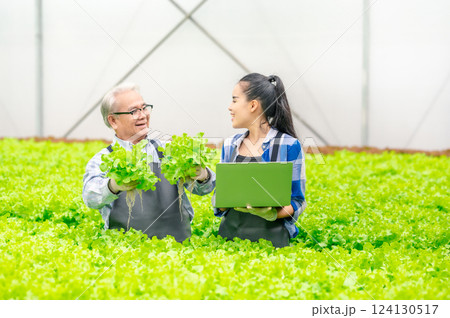 senior Asian man and woman in hydroponics farm 124130517