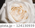 シルキーな白い薔薇 124130939