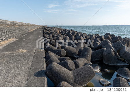 霞ヶ浦麻生直線堤防のテトラポッド 124130981