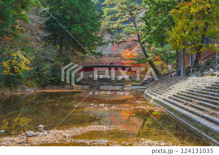 新城市にある愛知県民の森の紅葉のある風景(愛知県) 新城市にある愛知県民の森の紅葉のある風景(愛知県) 124131035