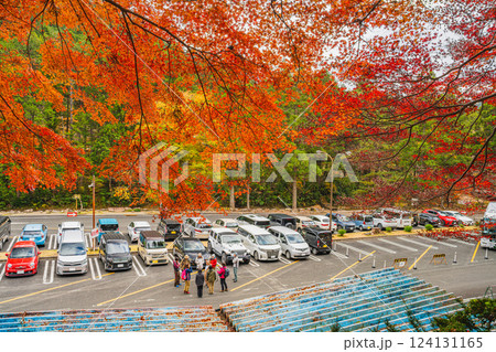 新城市にある愛知県民の森の紅葉の中の駐車場の風景(愛知県) 124131165