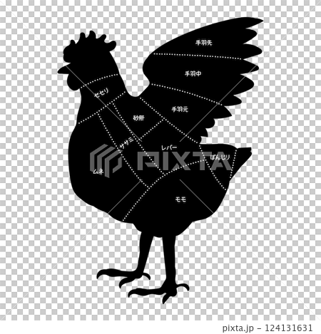 雞肉部位的黑色輪廓插圖，帶有白色虛線 124131631
