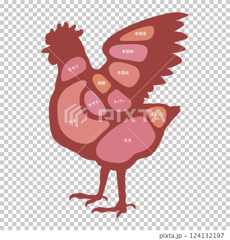 Illustrated illustration of chicken parts 124132197