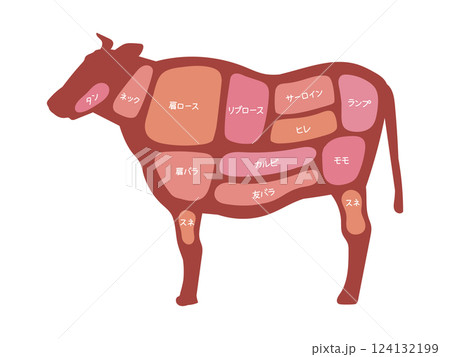 牛肉の部位の図解イラスト 124132199