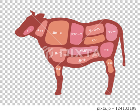 牛肉の部位の図解イラスト 124132199