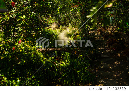 Nature theme park. Nature theme park. 124132239