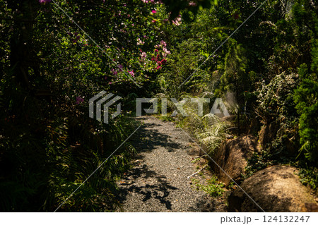Nature theme park. Nature theme park. 124132247