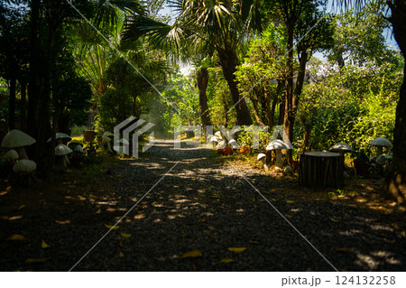 Nature theme park. 124132258