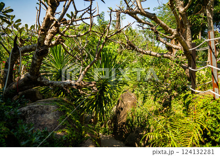 Nature theme park. Nature theme park. 124132281